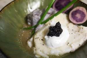 B 8. sea bass 2 copy