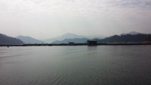 20131029_135553 copy