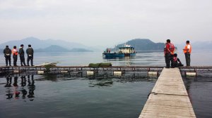 20131029_143358 copy