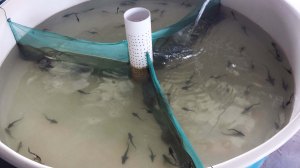 20131030_134057 copy